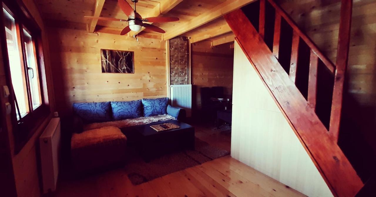 Brvnara Cigota Villa Zlatibor Kültér fotó