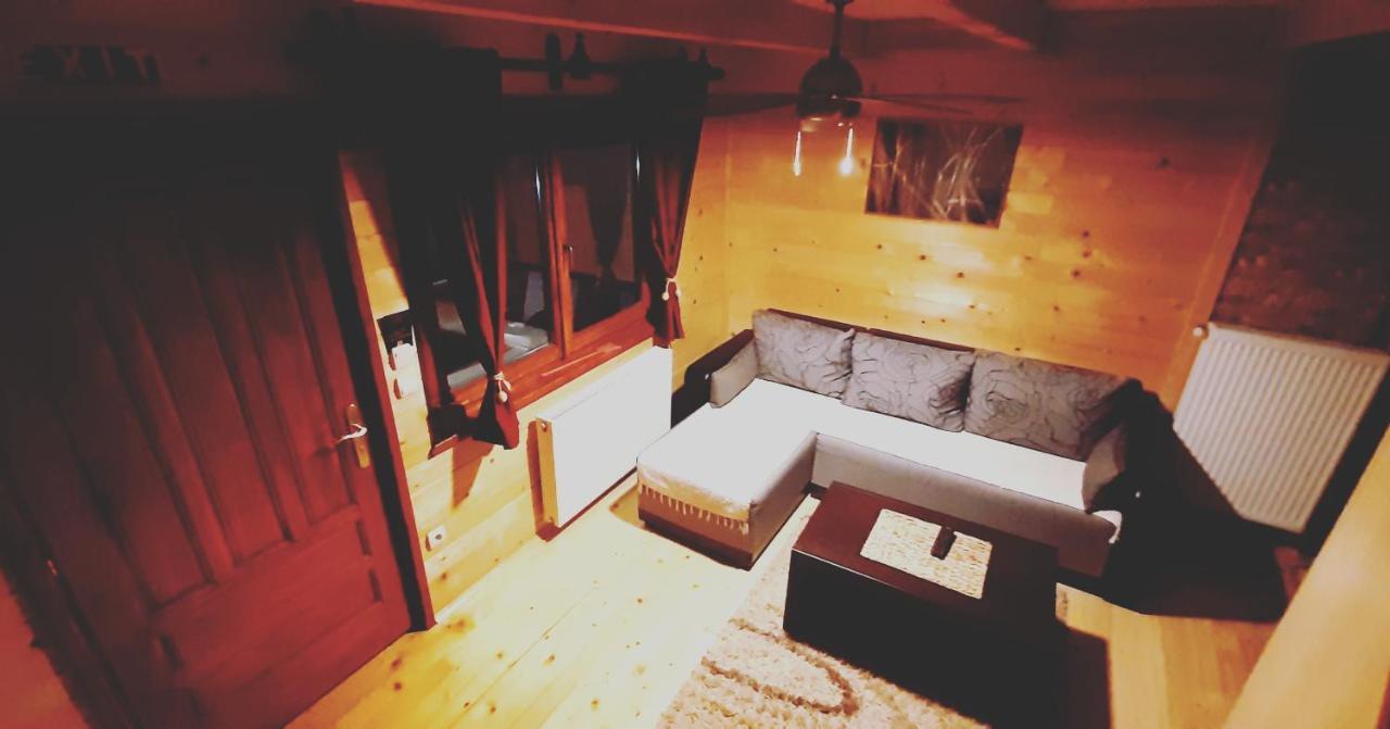 Brvnara Cigota Villa Zlatibor Kültér fotó