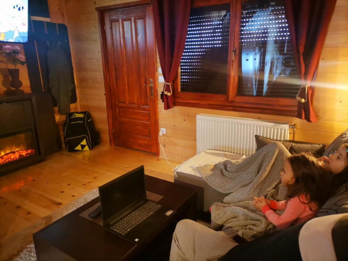 Brvnara Cigota Villa Zlatibor Kültér fotó