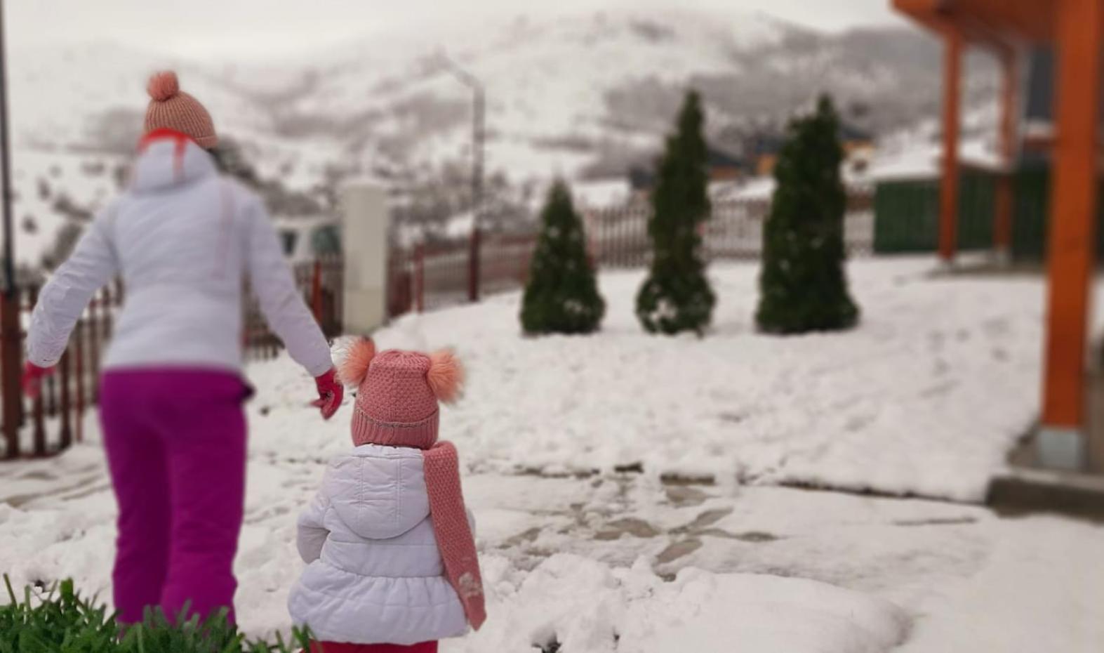 Brvnara Cigota Villa Zlatibor Kültér fotó