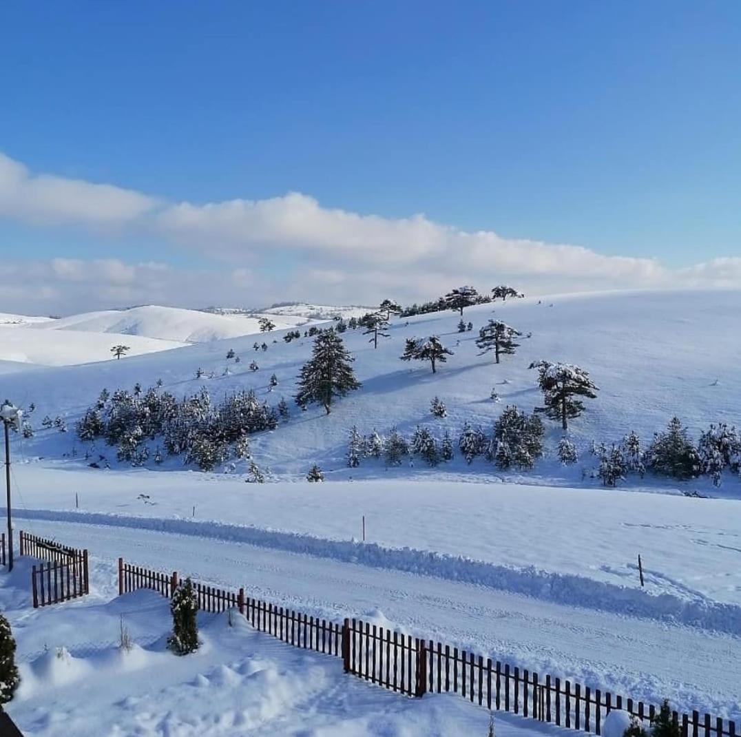 Brvnara Cigota Villa Zlatibor Kültér fotó