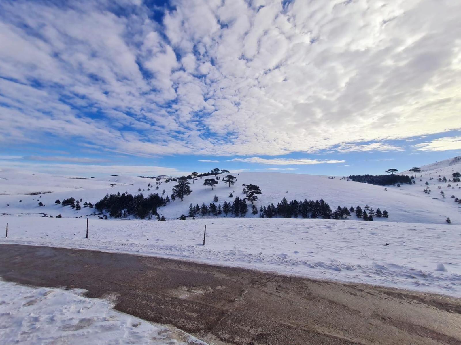 Brvnara Cigota Villa Zlatibor Kültér fotó