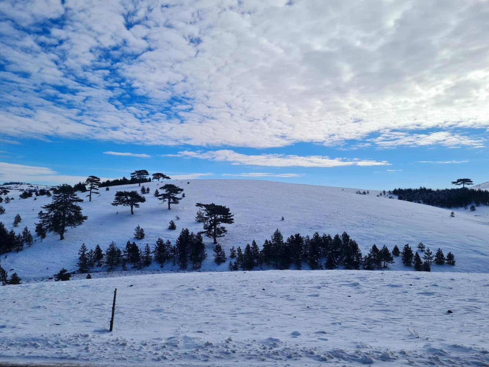 Brvnara Cigota Villa Zlatibor Kültér fotó